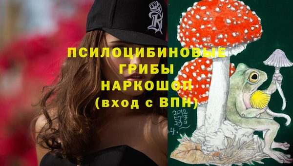 гидропоника Аркадак