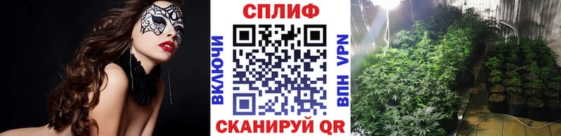 Бошки марихуана THC 21%  МЕГА ссылка  это клад  Грайворон 